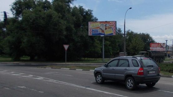 Фото рекламної площини за адресою Паровозная ул /200 лет Херсона пл, птичка, правый