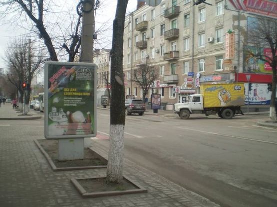 Фото рекламної площини за адресою ул. Большая Перспективная