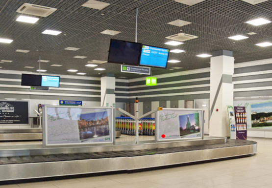 Фото рекламной плоскости по адресу Зал получения багажа, 1 этаж (Терминал А)