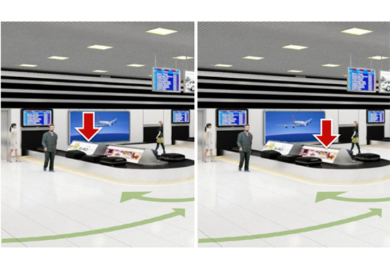 Фото рекламної площини за адресою Зал получения багажа, 1 этаж (Терминал А)