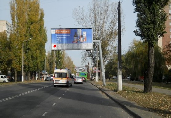 Фото рекламной плоскости по адресу Добровольского ул., 102