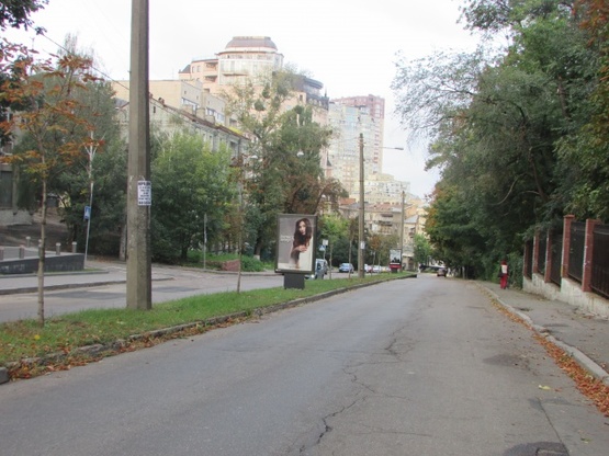 Фото рекламної площини за адресою Толстого Льва, 25/18 (на розподілювачі)