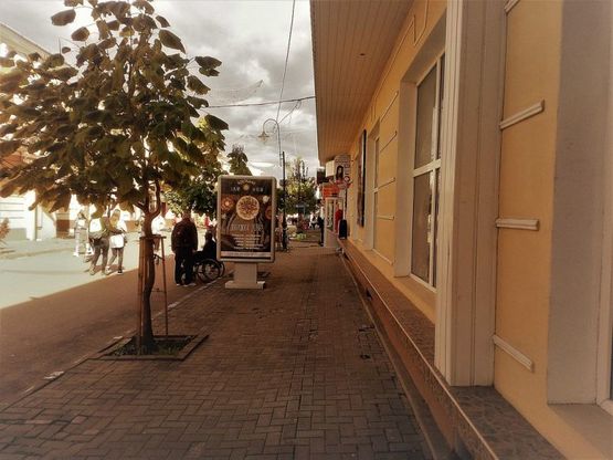 Фото рекламної площини за адресою пр. Чорновола (магазин Каштан)