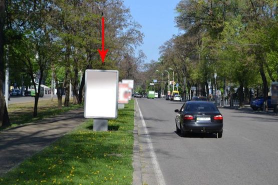 Фото рекламной плоскости по адресу пр. Пушкіна, на розподільчій алеї, від вул. А.Фабра до просп. О.Поля -3-/пр. Пушкина, на разделительной аллее, от ул. Серова до пр. Кирова -3-
