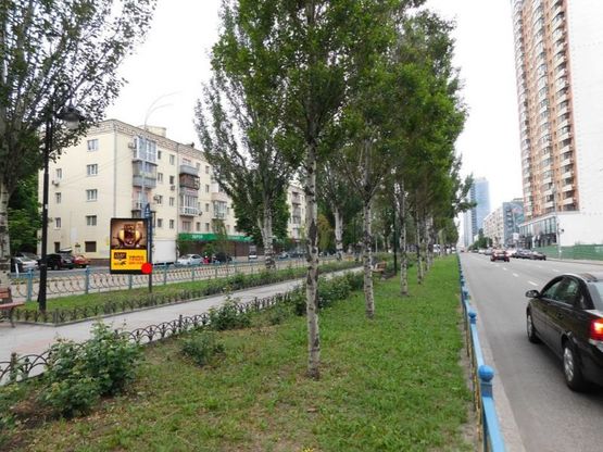 Фото рекламной плоскости по адресу Лесі Українки бульв. 20 бульварна частина Фото рекламной плоскости по адресу Лесі Українки бульв. 20 бульварна частина