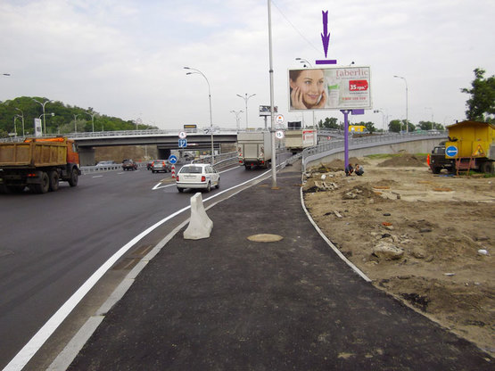 Фото рекламной плоскости по адресу мост Патона/ Надднепрянское шоссе (напр.в центр) (гусь)