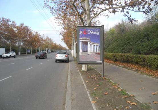 Фото рекламной плоскости по адресу Центральный Аэропорт ул. (№32)