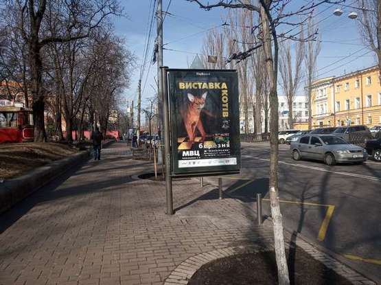 Фото рекламной плоскости по адресу Шевченка Тараса бульв., 14 №2