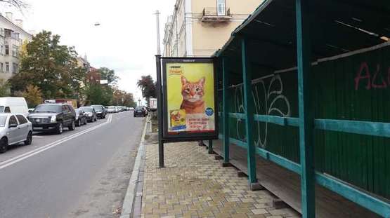 Фото рекламної площини за адресою Льва Толстого вул., ./вул.Володимирська (№1)