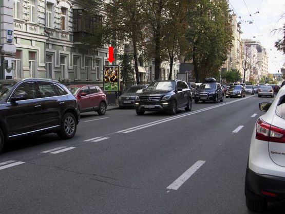 Фото рекламной плоскости по адресу Б. Житомирская ул., 10, в сторону Владимирская ул.