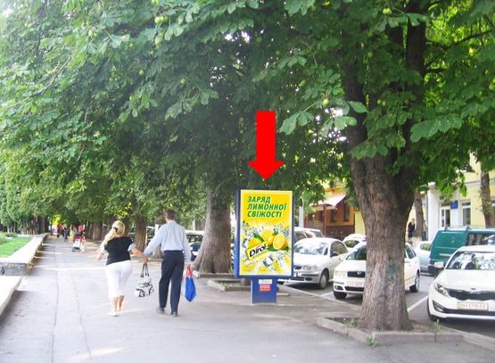 Фото рекламної площини за адресою Проскуровская ул. / ул. Грушевского, возле парка им. Т. Шевченко, салона "Киевстар"