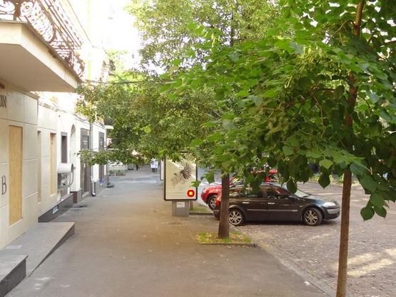 Фото рекламной плоскости по адресу Городецкого ул. 10/1 (2) Фото рекламной плоскости по адресу Городецкого ул. 10/1 (2)