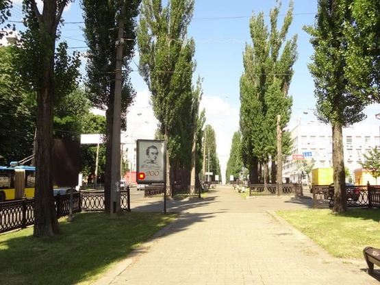 Фото рекламной плоскости по адресу Тараса Шевченко бул. 14, разделитель Фото рекламной плоскости по адресу Тараса Шевченко бул. 14, разделитель