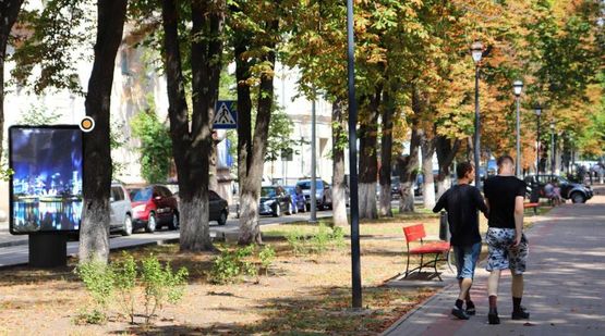 Фото рекламной плоскости по адресу Липская ул.  разделитель