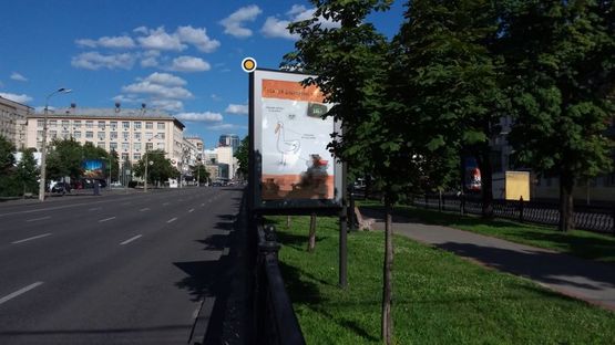 Фото рекламної площини за адресою Проспект Победы, разделитель, напротив супермаркета Велика Кишеня ,к ТЦ "Украина"