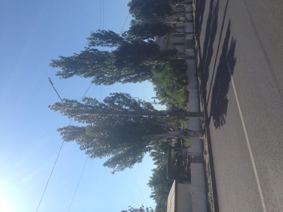 Фото рекламной плоскости по адресу Східний пр. (228, магазин Електропроводка) Фото рекламной плоскости по адресу Східний пр. (228, магазин Електропроводка)