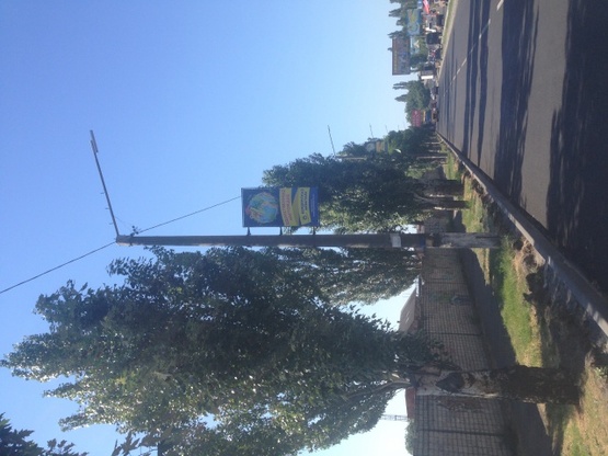 Фото рекламной плоскости по адресу Східний пр. (232 центр) Фото рекламной плоскости по адресу Східний пр. (232 центр)