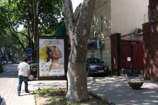 Фото рекламной плоскости по адресу Пушкінська вул., 36