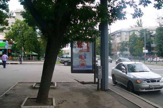 Фото рекламної площини за адресою Науки просп. (Леніна просп.) - Данилевського вул., (№2) Фото рекламної площини за адресою Науки просп. (Леніна просп.) - Данилевського вул., (№2)