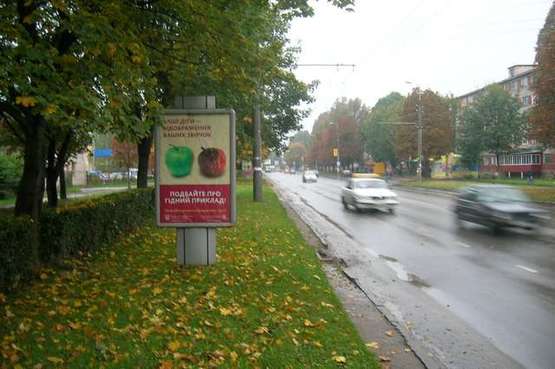 Фото рекламной плоскости по адресу Злуки просп., 9