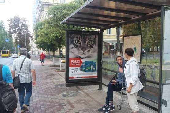 Фото рекламної площини за адресою Шевченка Тараса бульв., 20 (Володимирський собор)