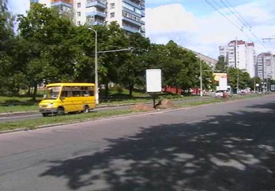 Фото рекламної площини за адресою Рокоссовского ул., Детская городская поликлиника №2