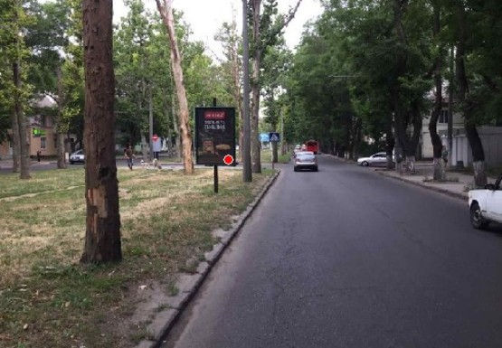 Фото рекламной плоскости по адресу Адмиральский пр.,8 [11 А]