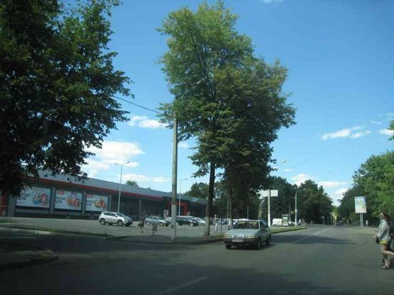 Фото рекламной плоскости по адресу пр. Архитектора Алёшина 15/16 Фото рекламной плоскости по адресу пр. Архитектора Алёшина 15/16