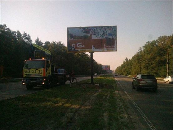 Фото рекламной плоскости по адресу Палладина Академика проспект 170м від перехрестя з вул.Плодова (на розподілювачі) в напрямку Києва Фото рекламной плоскости по адресу Палладина Академика проспект 170м від перехрестя з вул.Плодова (на розподілювачі) в напрямку Києва