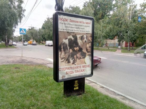 Фото рекламной плоскости по адресу ул Мазепы, 4, маг Кабани (сторона Б) Фото рекламной плоскости по адресу ул Мазепы, 4, маг Кабани (сторона Б)