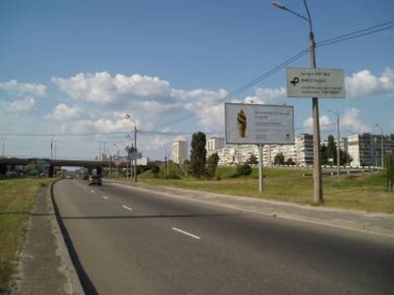 Фото рекламной плоскости по адресу Богатырская ул., за 150м по ходу от Петровки к ул. Луговая