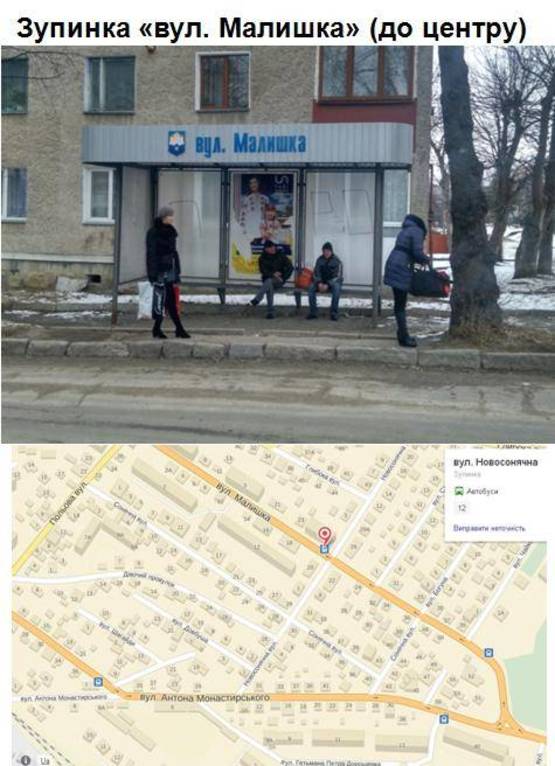 Фото рекламної площини за адресою вул. Малишка(до центру) / Східний