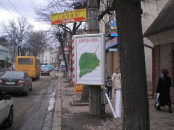 Фото рекламной плоскости по адресу вул. Васильянок (перехресток з Вовчинецькою) №2 ст А