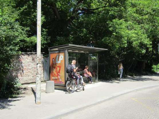 Фото рекламной плоскости по адресу Вячеслава Липинського вул. - Покутська вул. Фото рекламной плоскости по адресу Вячеслава Липинського вул. - Покутська вул.