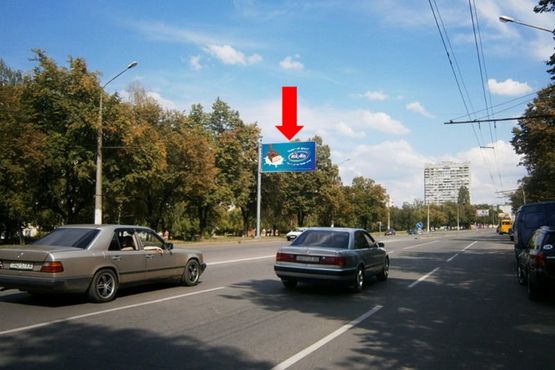 Фото рекламной плоскости по адресу Юбилейный пр. (бывш. 50 лет ВЛКСМ пр.), 59, из центра (флажок)