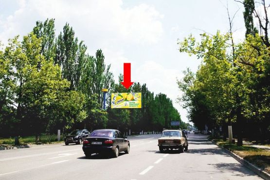 Фото рекламної площини за адресою Николаевское шоссе, возле отеля "Нон-Стоп", гусь, над дорогой, в центр