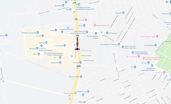 Схема рекламної площини за адресою пр. Академіка Палладіна,, напроти входу в ТРЦ Лавіна