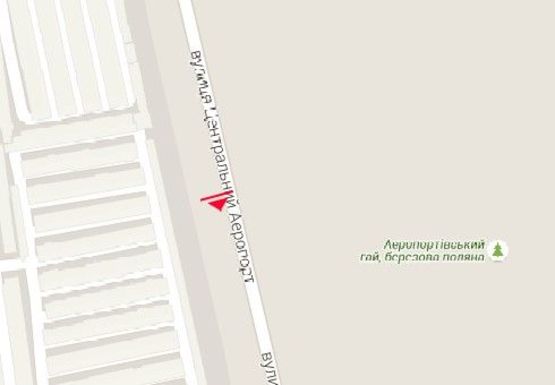 Схема рекламной плоскости по адресу Центральный Аэропорт ул. (№25)