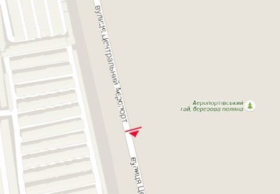 Схема рекламной плоскости по адресу Центральный Аэропорт ул. (№28) Схема рекламной плоскости по адресу Центральный Аэропорт ул. (№28)