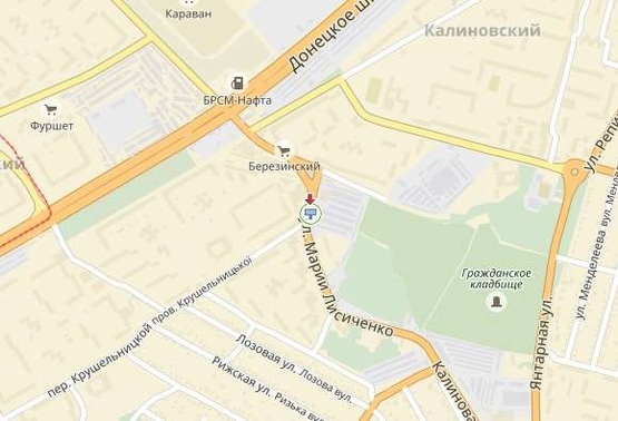 Схема рекламной плоскости по адресу Марии Лисиченко ул., возле остановки Рынок Березинский, в центр