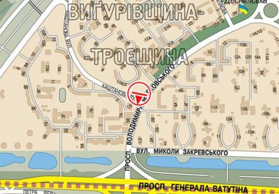 Схема рекламной плоскости по адресу Маяковского пр. - Каштановая ул.