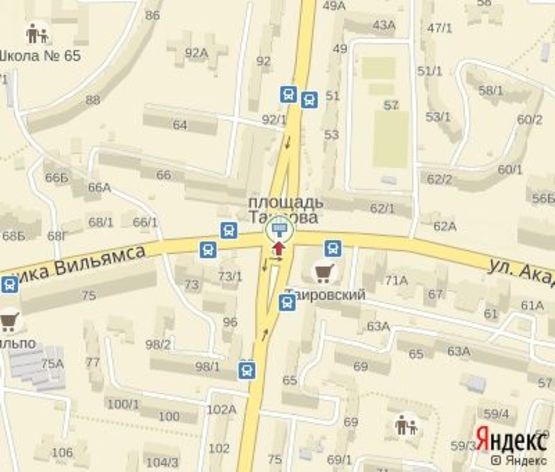 Схема рекламной плоскости по адресу Вильямса ул. - Королева ул. ( направление к пл. "Независимости") (левый)