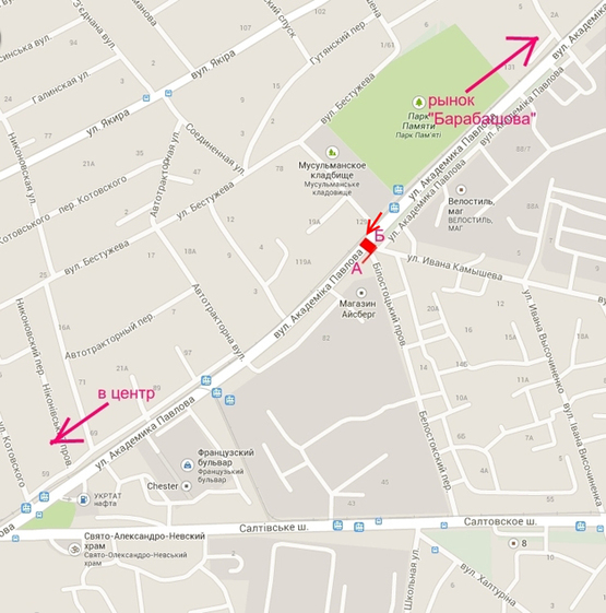 Схема рекламной плоскости по адресу ул. Ак. Павлова 84  в центр