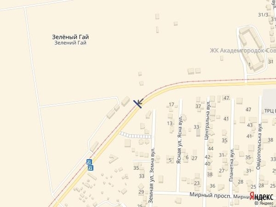 Схема рекламной плоскости по адресу Совиньон- проспект Свободы 11А